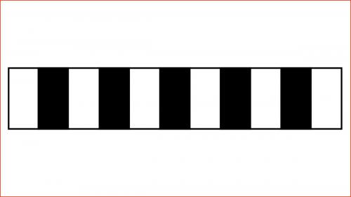 113